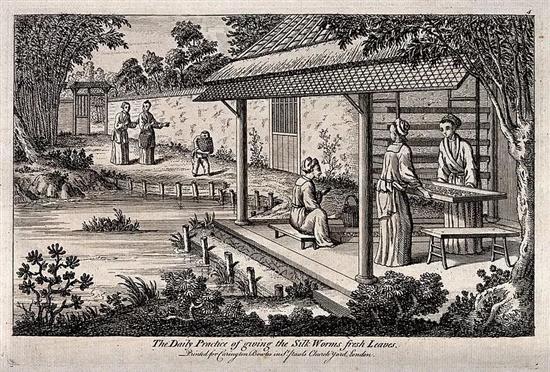 展示中国古代养蚕业的版画。? 维基百科 图